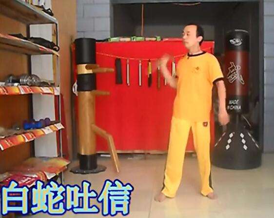雙節棍白蛇吐信1