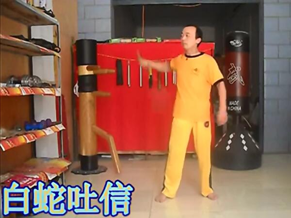 雙節棍白蛇吐信2